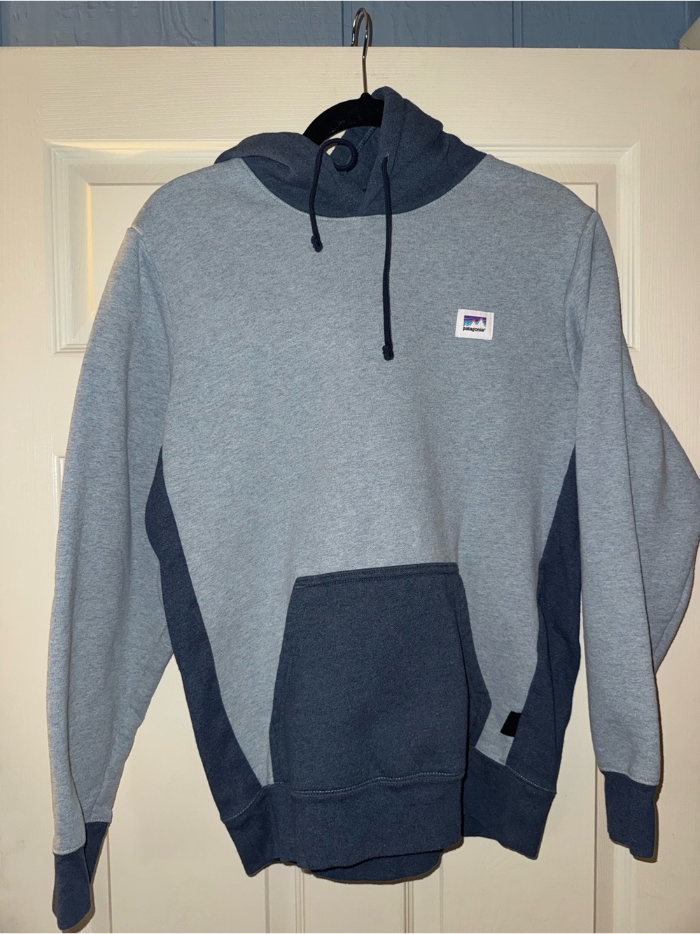 Patagonia Two-Tone Pullover Hoodie